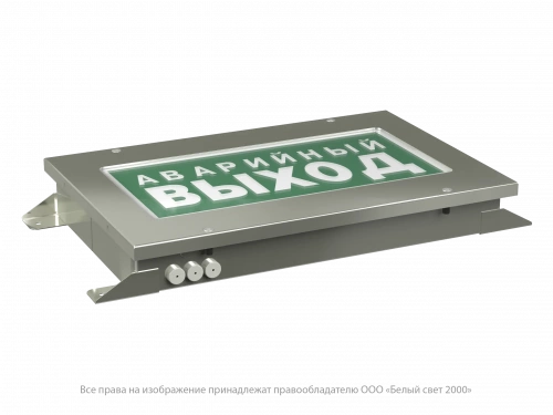Световой указатель BS-CRUISER-51-S1-INEXI3-MSS3