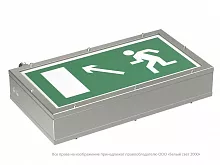 Световой указатель BS-FLAGMAN-10-S1-BSE5 NST