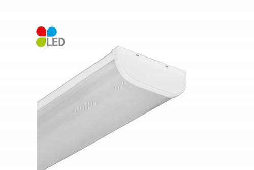 Oval 236 LED