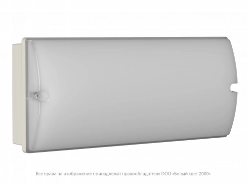 Аварийный светильник BS-METEORIT-81-L1-INEXI2